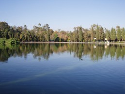 Chapultepec Forests